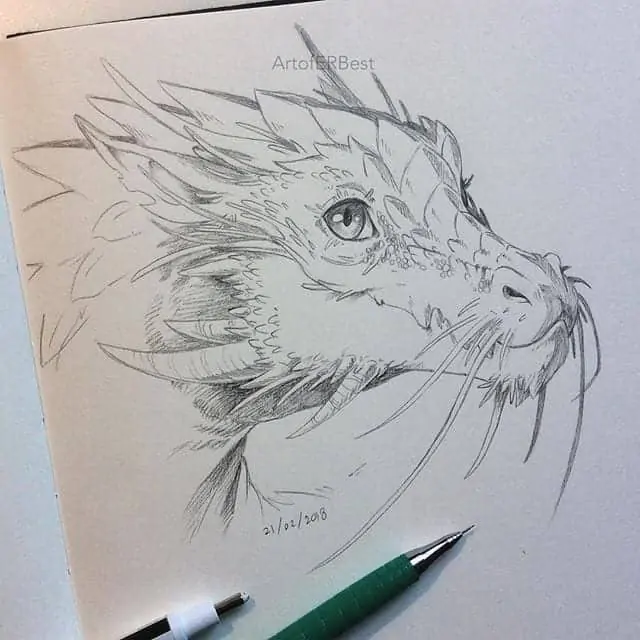 50 idées de dessins d'animaux faciles à faire 41