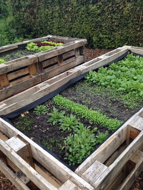 Potager en palette : 41 exemples de fabrications réussies pour t'inspirer 27