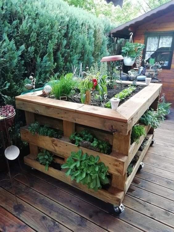 Potager en palette : 41 exemples de fabrications réussies pour t'inspirer 28