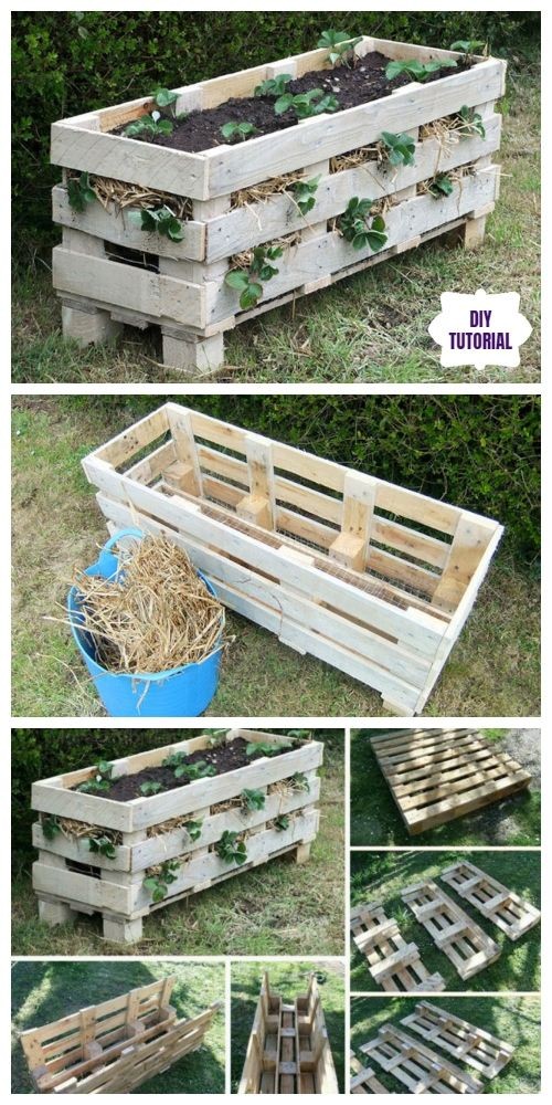 Potager en palette : 41 exemples de fabrications réussies pour t'inspirer 6