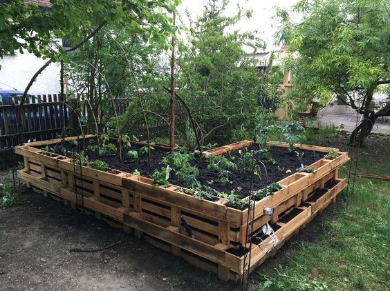 Potager en palette : 41 exemples de fabrications réussies pour t'inspirer 7