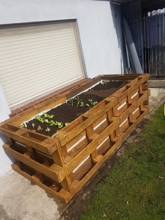 Potager en palette : 41 exemples de fabrications réussies pour t'inspirer 13