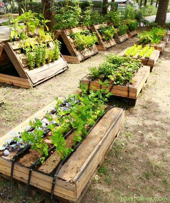 Potager en palette : 41 exemples de fabrications réussies pour t'inspirer 18