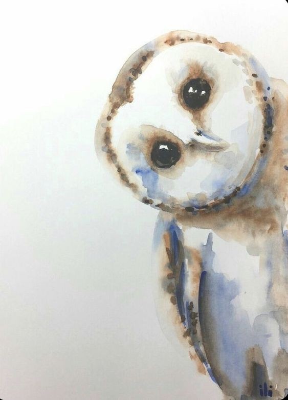 35 animaux à l'aquarelle pour apprendre à peindre des animaux 11