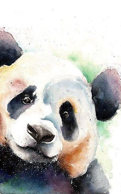 35 animaux à l'aquarelle pour apprendre à peindre des animaux 14