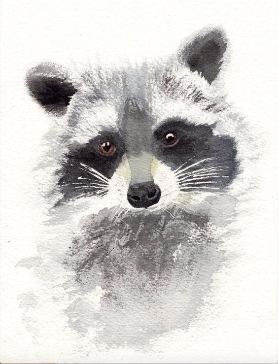 35 animaux à l'aquarelle pour apprendre à peindre des animaux 16