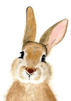 35 animaux à l'aquarelle pour apprendre à peindre des animaux 17