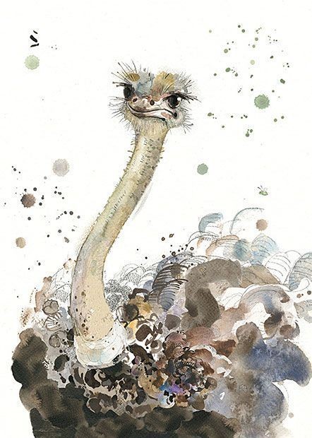 35 animaux à l'aquarelle pour apprendre à peindre des animaux 18