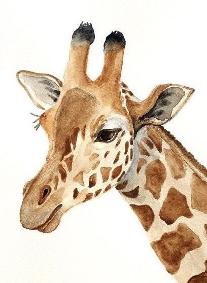 35 animaux à l'aquarelle pour apprendre à peindre des animaux 3