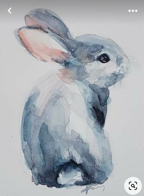 35 animaux à l'aquarelle pour apprendre à peindre des animaux 21