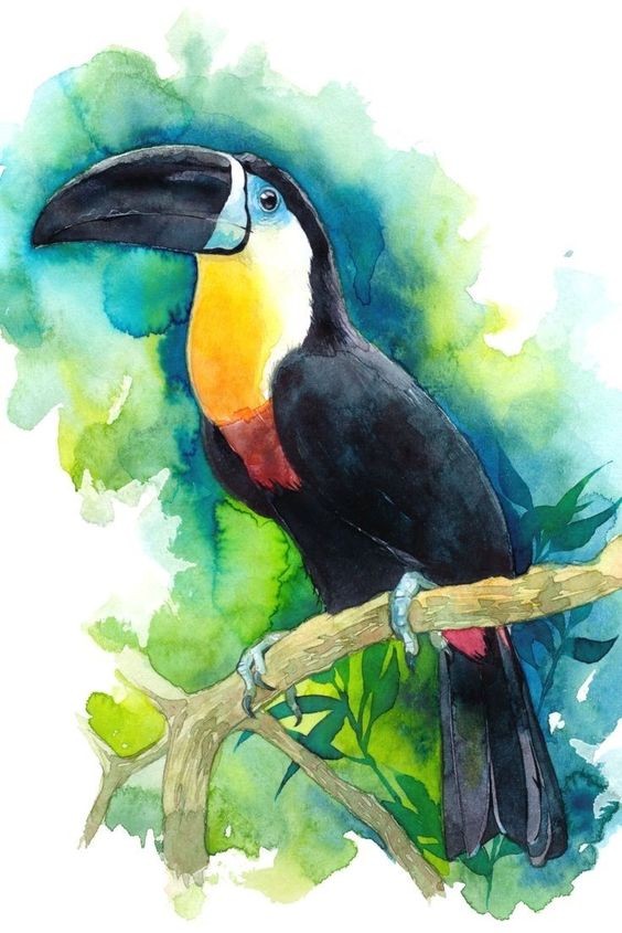 35 animaux à l'aquarelle pour apprendre à peindre des animaux 24