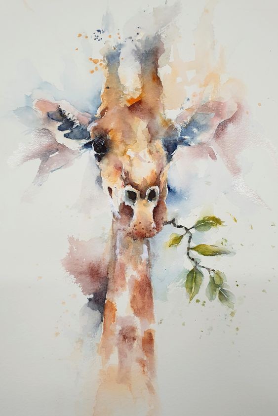 35 animaux à l'aquarelle pour apprendre à peindre des animaux 26