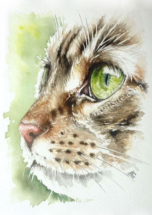 35 animaux à l'aquarelle pour apprendre à peindre des animaux 27