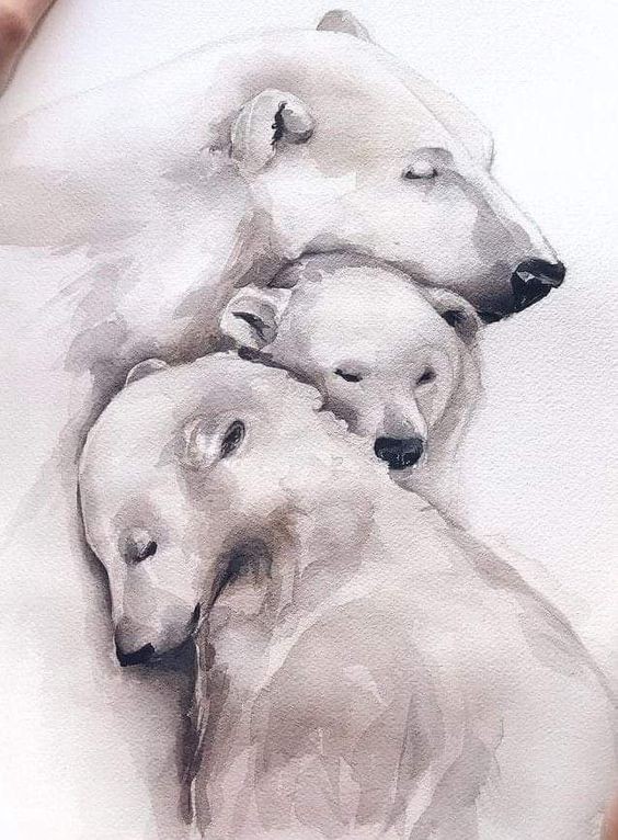 35 animaux à l'aquarelle pour apprendre à peindre des animaux 28