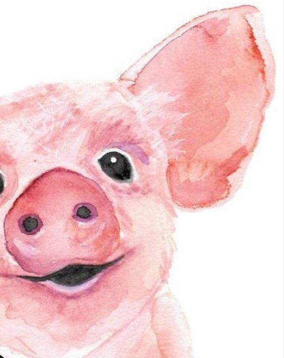 35 animaux à l'aquarelle pour apprendre à peindre des animaux 29