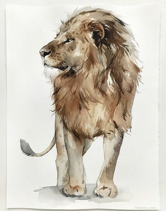 35 animaux à l'aquarelle pour apprendre à peindre des animaux 31