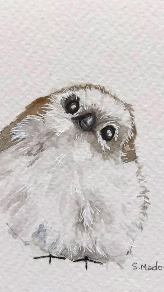 35 animaux à l'aquarelle pour apprendre à peindre des animaux 33