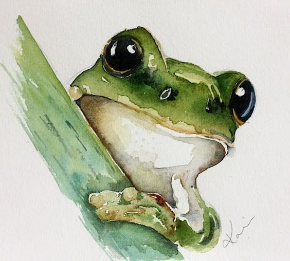 35 animaux à l'aquarelle pour apprendre à peindre des animaux 34