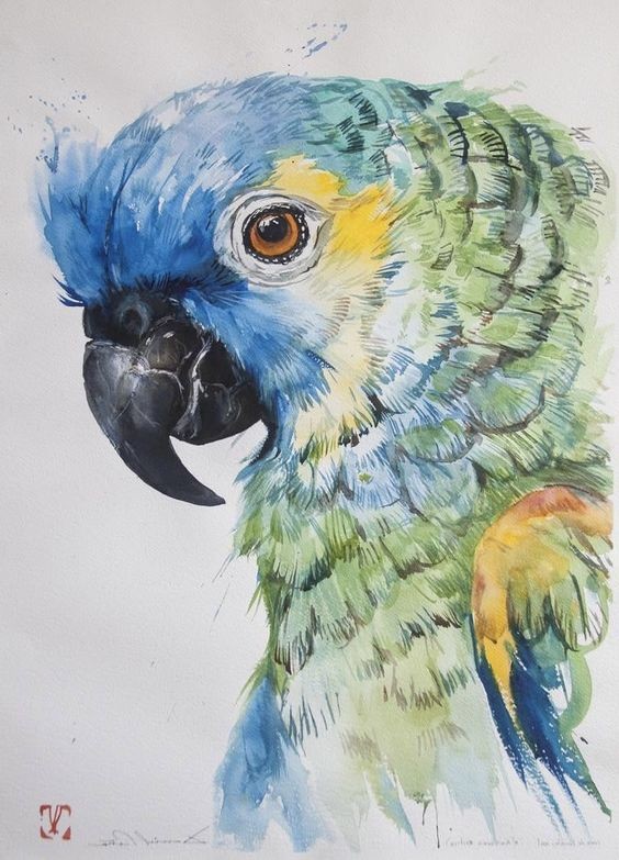 35 animaux à l'aquarelle pour apprendre à peindre des animaux 6