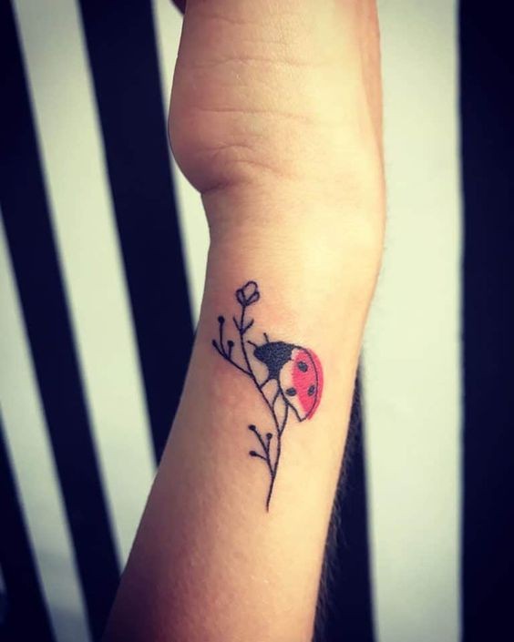 9 Top idées de Tatouages Coccinelle 13