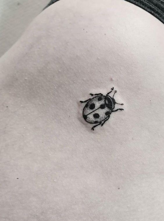 9 Top idées de Tatouages Coccinelle 18