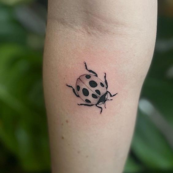 9 Top idées de Tatouages Coccinelle 25