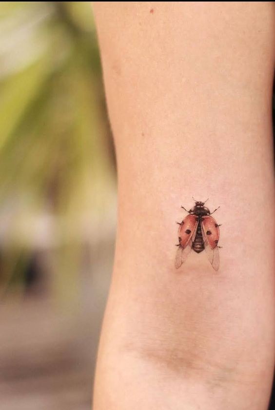 9 Top idées de Tatouages Coccinelle 10