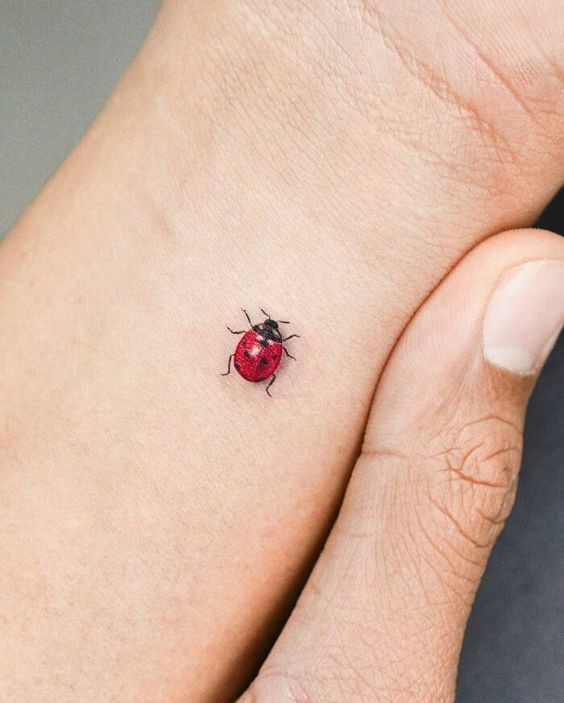 9 Top idées de Tatouages Coccinelle 1