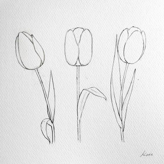 Dessin de fleur : 29 Idées faciles pour apprendre à dessiner des fleurs 28