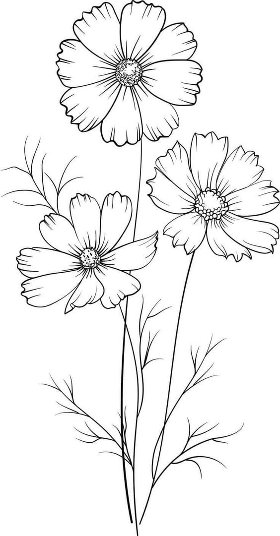 Dessin de fleur : 29 Idées faciles pour apprendre à dessiner des fleurs 6