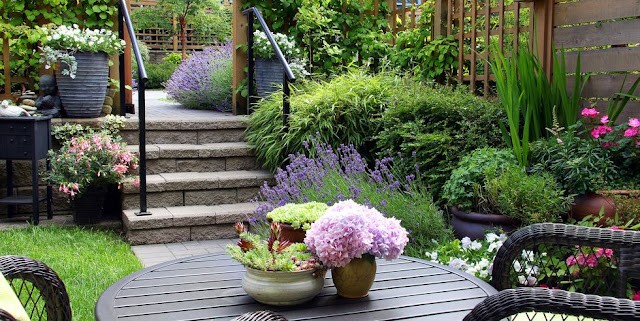 11 secrets pour transformer son jardin sans se ruiner 1