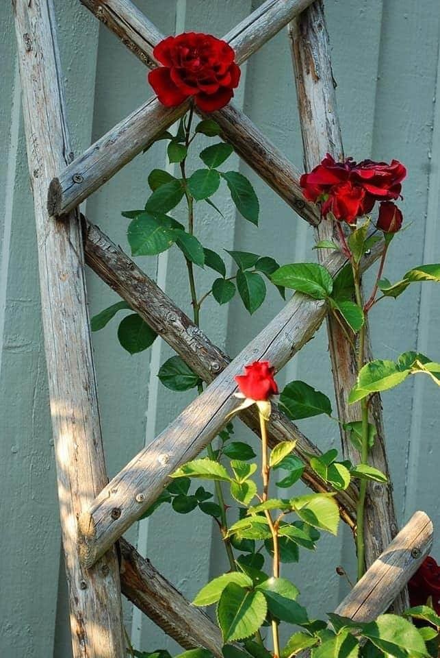 24 idées de jardinières en bois à faire soi-même 11