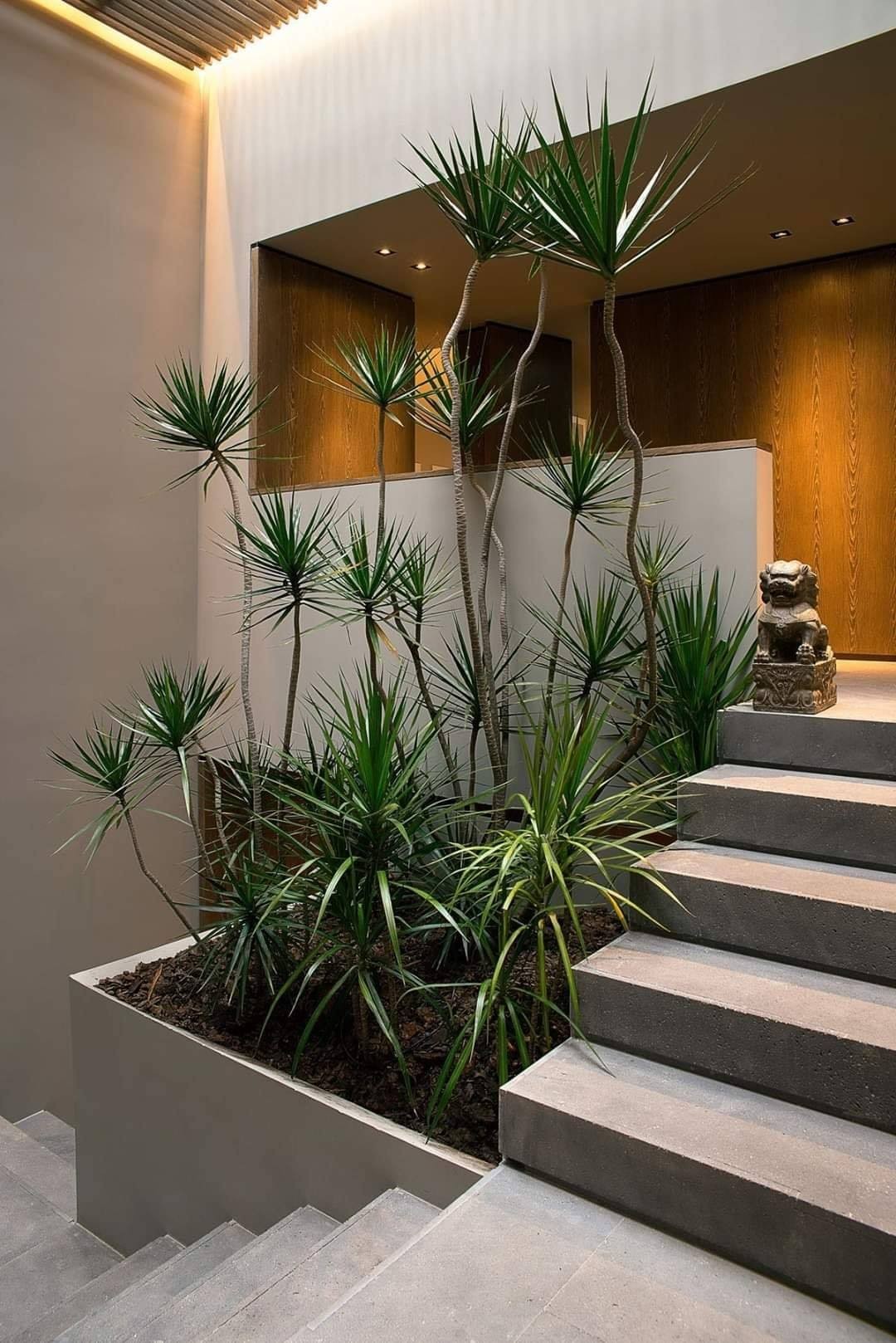 23 idées pour le jardin d'intérieur 13