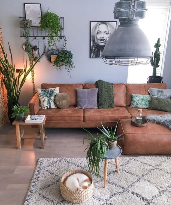 11 Différents Styles de Déco de Salon Cosy : Les plus Chics & Modernes 4