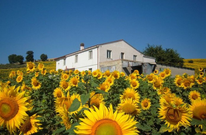 Comment acheter une vieille maison en Italie pour seulement 1 € ? 2