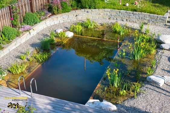 10 modèles de piscines naturelles pour concevoir une plage à la maison 6