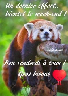 Bon vendredi bisous 86