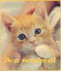 Bon vendredi bisous 98