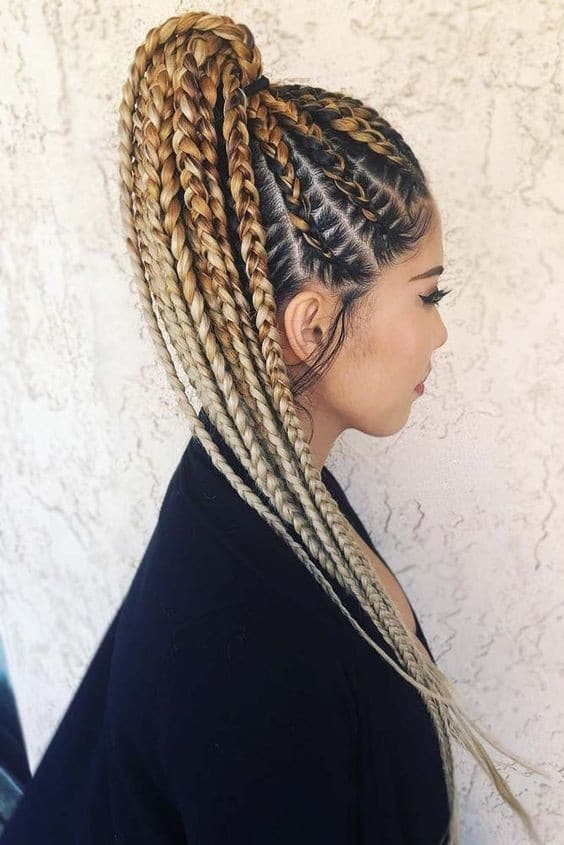 Box Braids : 23 Top idées tendances en 2024 3