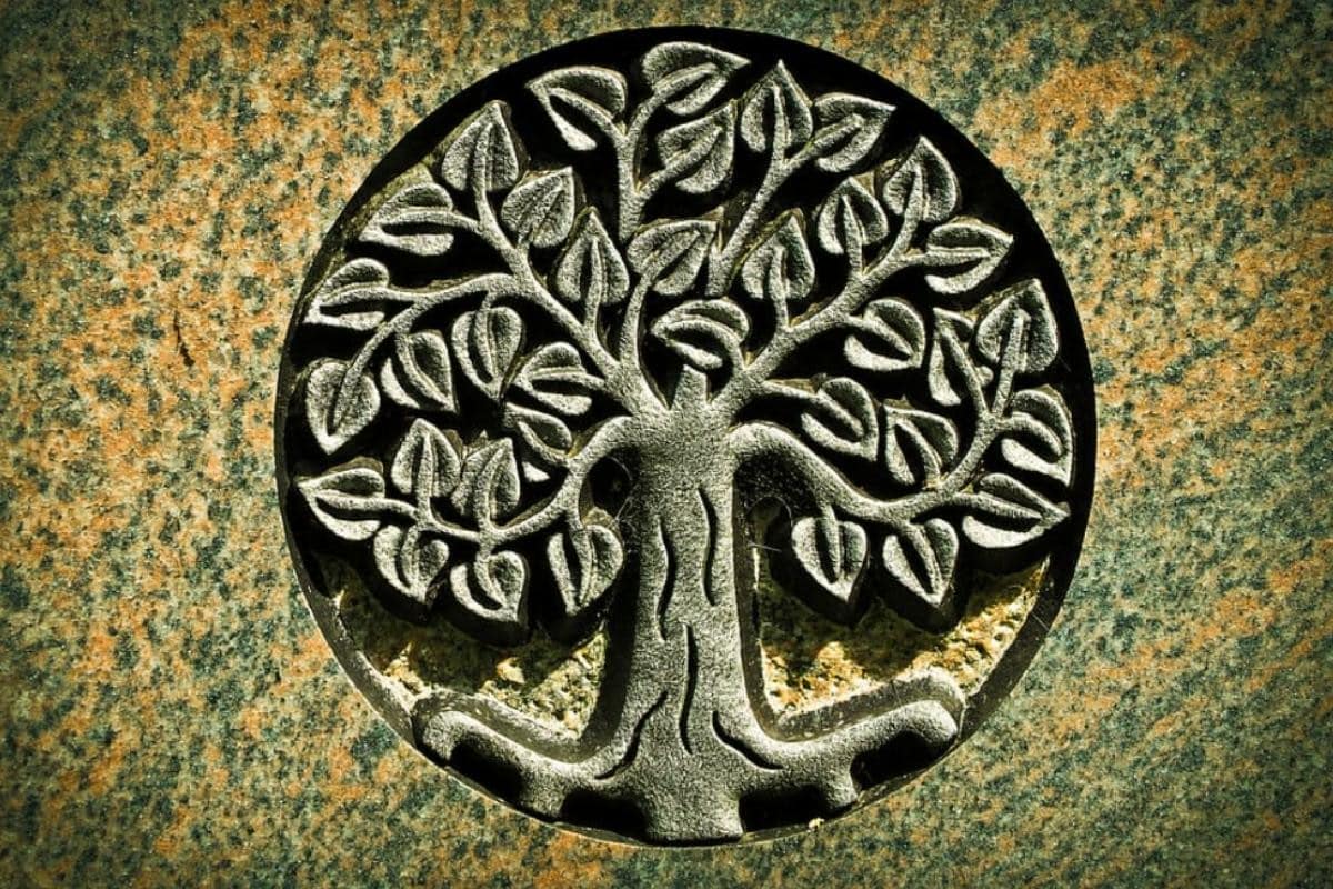 Arbre : La Vraie Signification Spirituelle & Les interprétations possibles 1