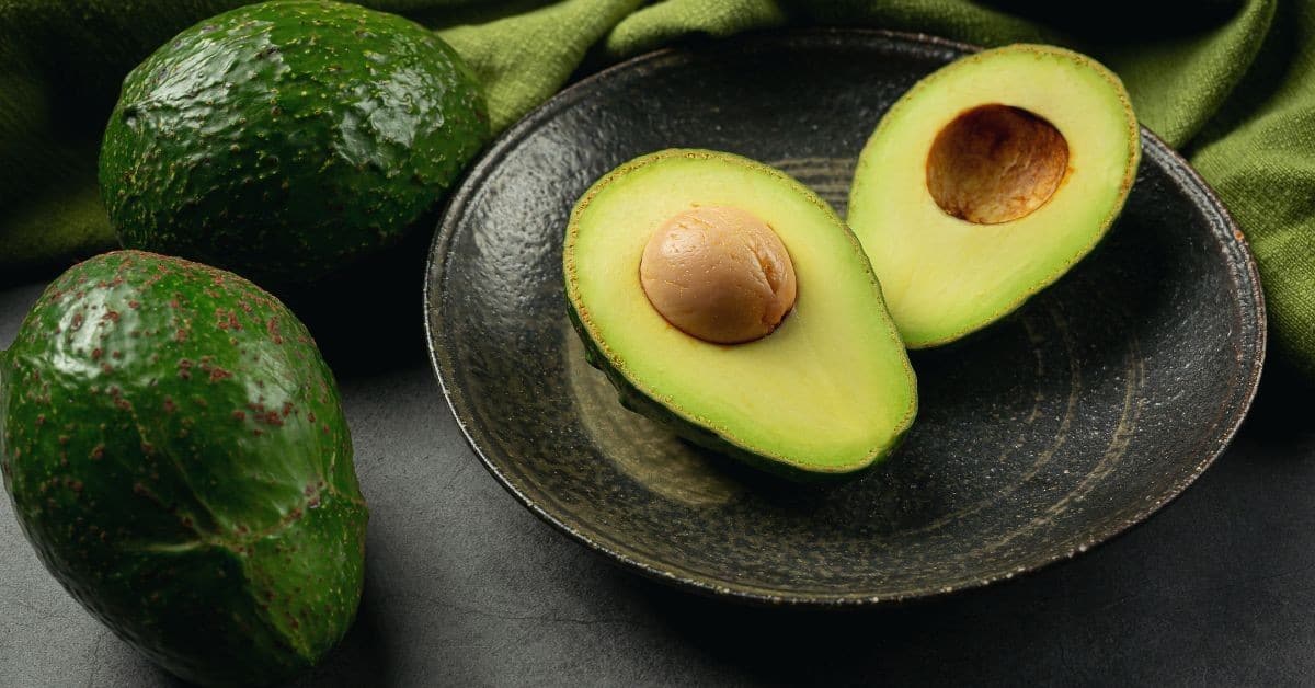 Comment faire pousser un avocat ? 6