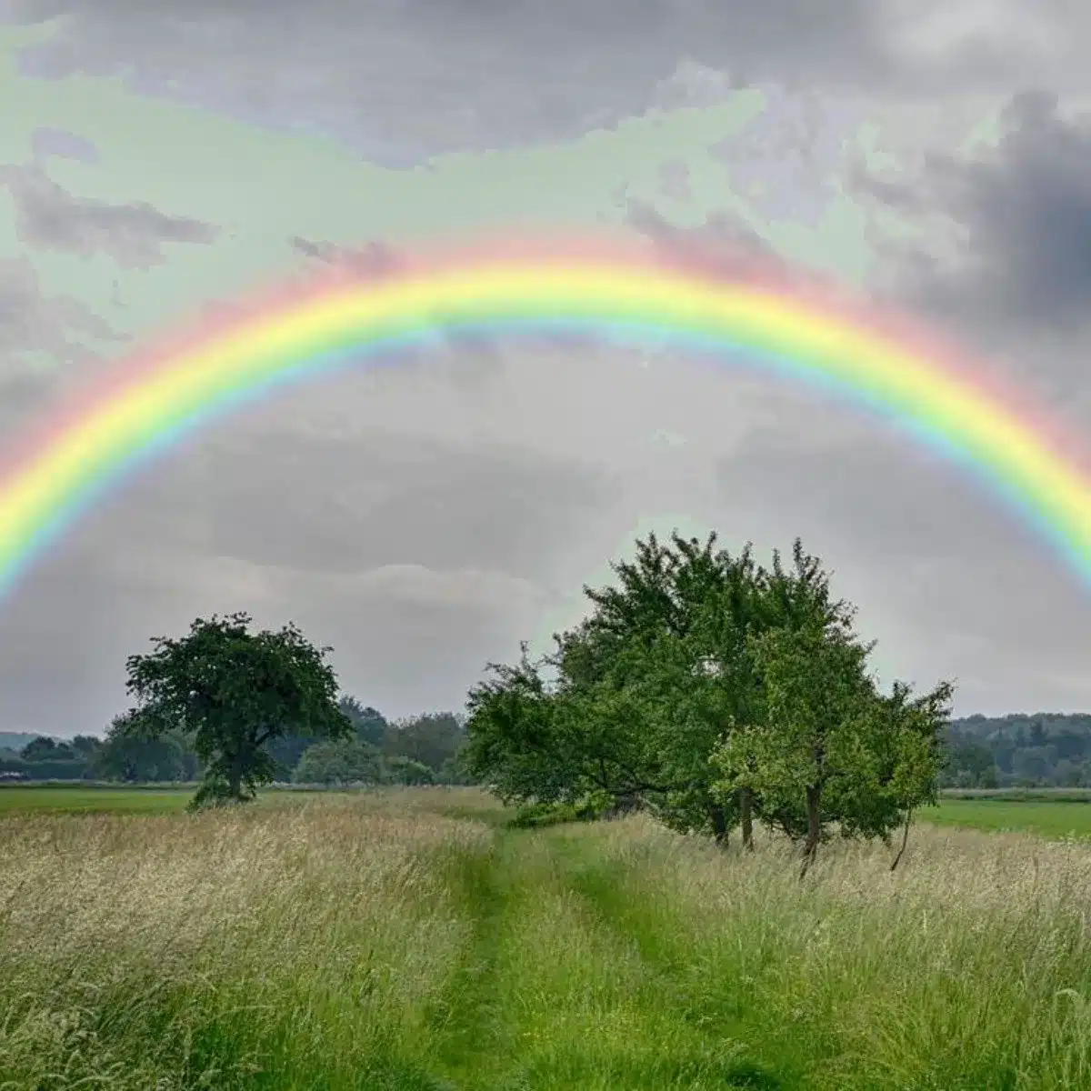 La Signification Spirituelle des Couleurs : Plongée dans un Arc-en-ciel Mystique 2