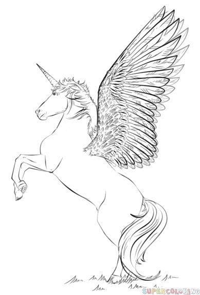 100 Dessins de licorne pour apprendre à dessiner en 2023 24