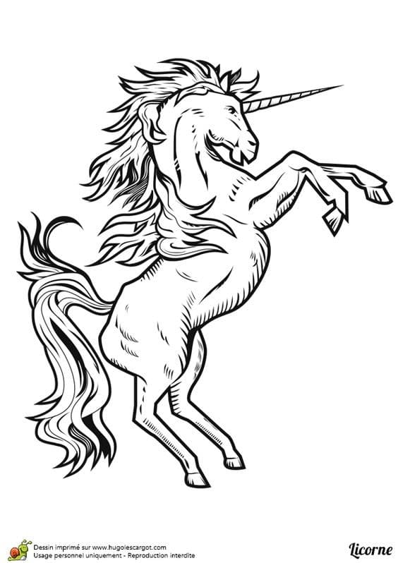 100 Dessins de licorne pour apprendre à dessiner en 2023 82