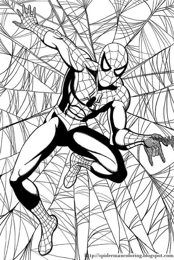 Top 50 Dessins Spiderman Gratuits & Faciles à Colorier en 2023 4