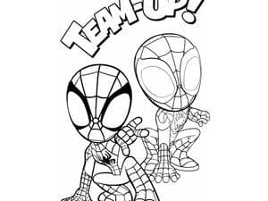 Top 50 Dessins Spiderman Gratuits & Faciles à Colorier en 2023 16