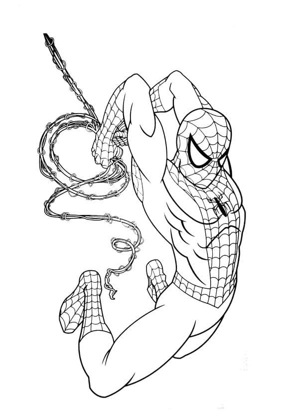 Top 50 Dessins Spiderman Gratuits & Faciles à Colorier en 2023 22