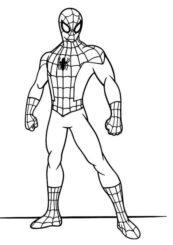 Top 50 Dessins Spiderman Gratuits & Faciles à Colorier en 2023 30