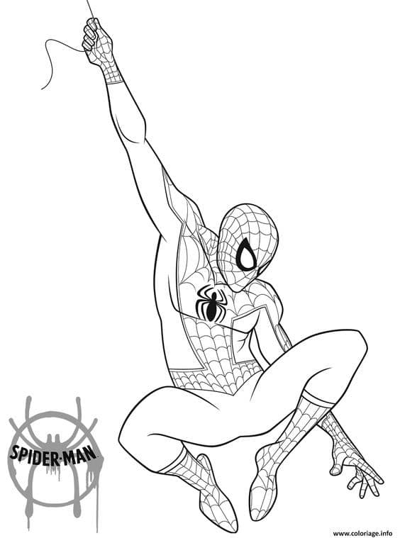 Top 50 Dessins Spiderman Gratuits & Faciles à Colorier en 2023 33