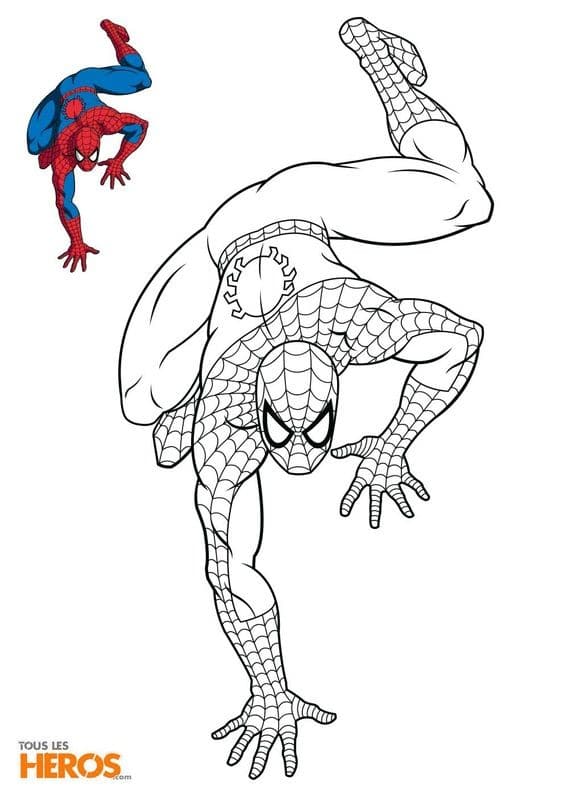 Top 50 Dessins Spiderman Gratuits & Faciles à Colorier en 2023 36